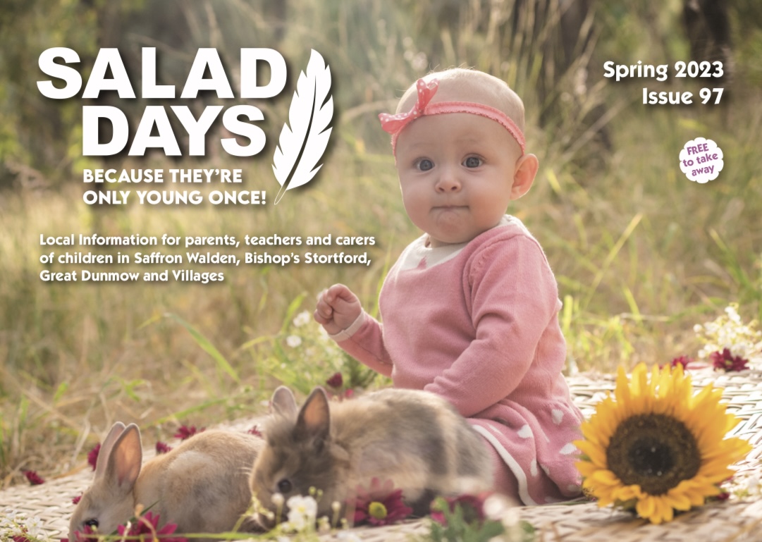salad_days_93