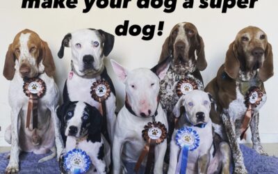 Make your dog a Superdog