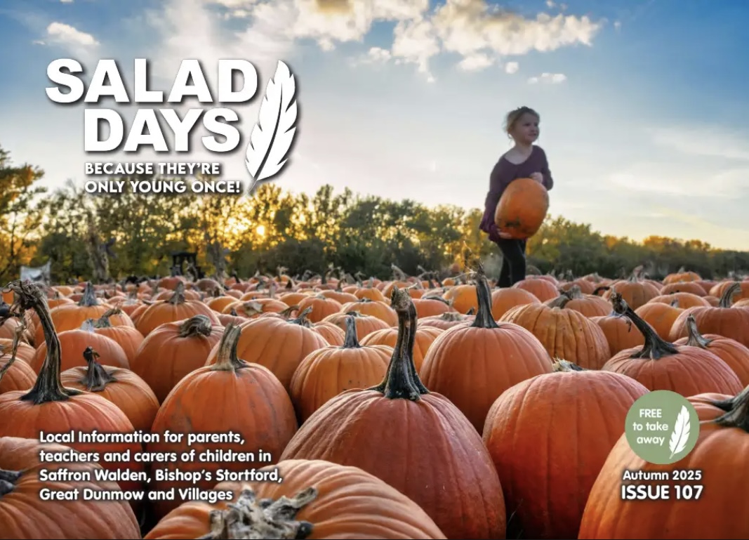 salad_days_93